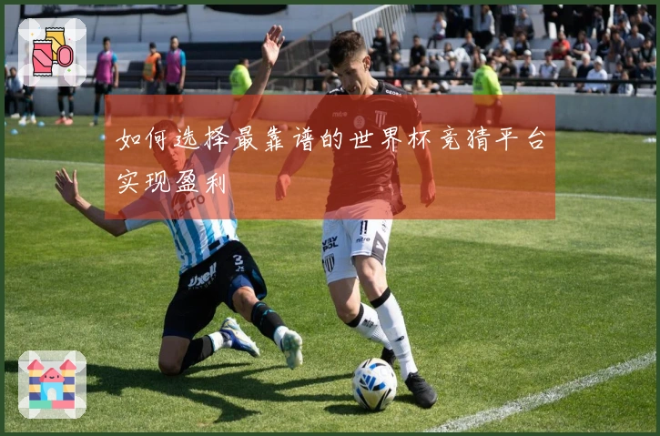 如何选择最靠谱的世界杯竞猜平台实现盈利