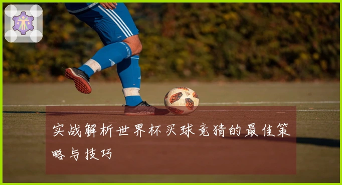 实战解析世界杯买球竞猜的最佳策略与技巧