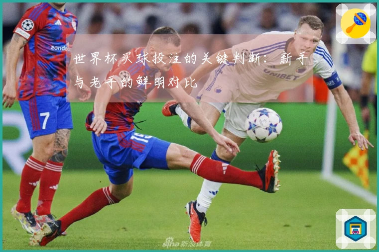 世界杯买球投注的关键判断：新手与老手的鲜明对比
