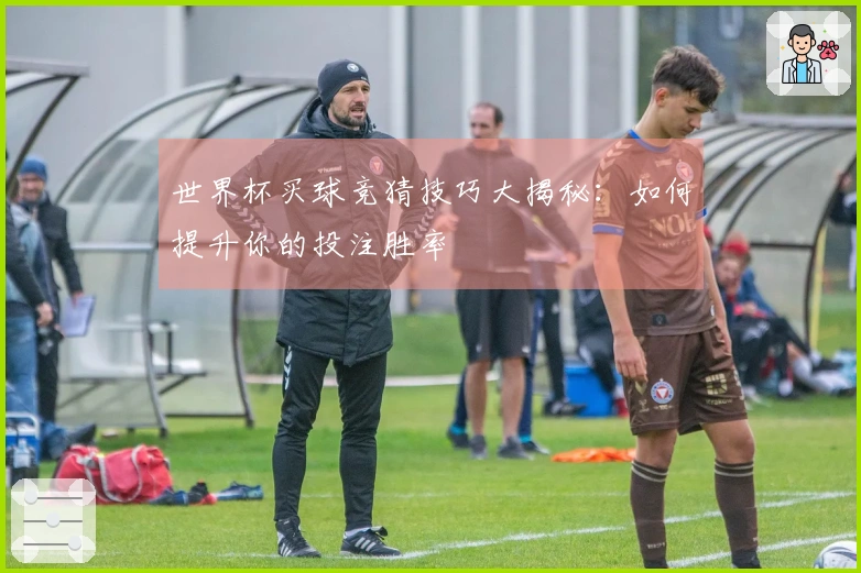 世界杯买球竞猜技巧大揭秘：如何提升你的投注胜率
