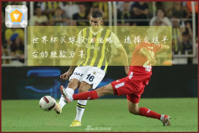 世界杯买球投注攻略：选择合适平台的经验分享